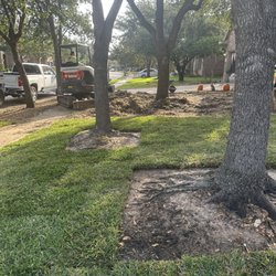290 Grass