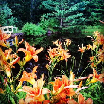 Lovett's Inn - There's a beautiful pond across the street - Hotels Near Me - Franconia, New Hampshire Lovett's Inn - There's a beautiful pond across the street - Hotels Near Me - Franconia, New Hampshire