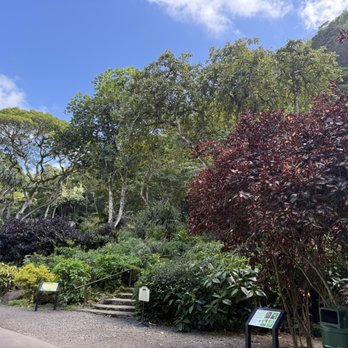 Waimea Valley - Venues & Event Spaces Near Me - Haleiwa, Hawaii Waimea Valley - Venues & Event Spaces Near Me - Haleiwa, Hawaii