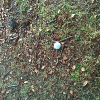 Hansen Dam Golf Course - Another dumb lie in down the left side of #14, par 4. - Golf Near Me - Pacoima, California