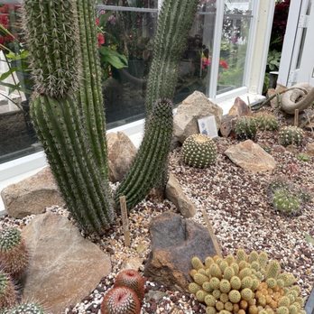 Volunteer Park Conservatory - Parks Near Me - Seattle, Washington Volunteer Park Conservatory - Parks Near Me - Seattle, Washington