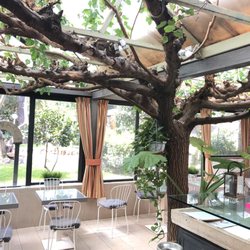 Hotel Orto di Roma - Living tree inside restaurant.