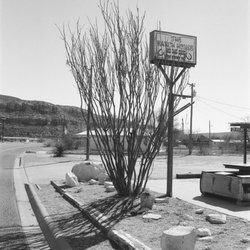 The Ranch House