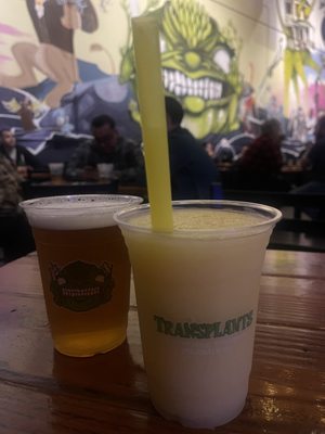 Transplants Brewing Company by null