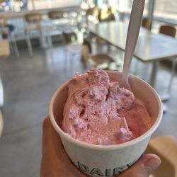 Dairy Hill Ice Cream - Peppermint