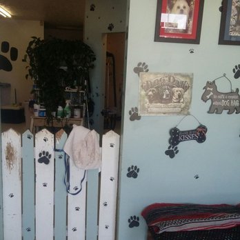 Custom K-9 Clips - Pet Groomers Near Me - Williamstown, Kentucky