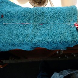 This unravelled string from the bandana they put on my dog had to be pulled out and had reached all the way down to her stomach!! This unravelled string from the bandana they put on my dog had to be pulled out and had reached all the way down to her stomach!!