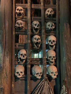 Milwaukee Public Museum by null