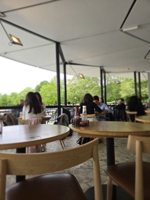 Serpentine Bar & Kitchen by null