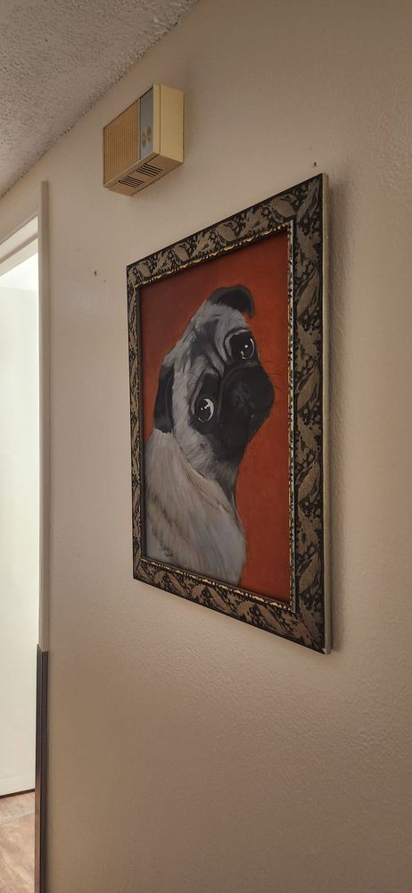 Juan Tabo Animal Clinic - pet boarding facility in Albuquerque, NM