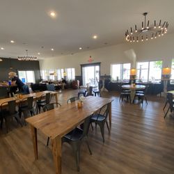 Cayuga Shoreline - Inside