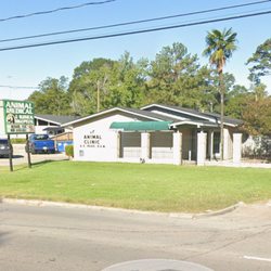 Animal Medical And Surgical Hospital - Veterinary Practice