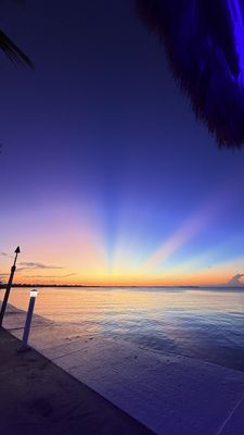 Reefhouse Resort & Marina by null