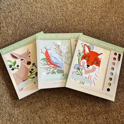 CABINtique - Paint by Number kits