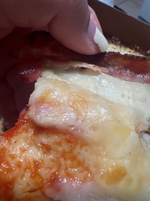 Hakuna Matata Pizza Cubana by null