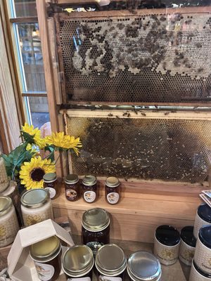 Yellow Deli Bakery by null
