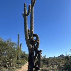 Arizona Adventure Guides