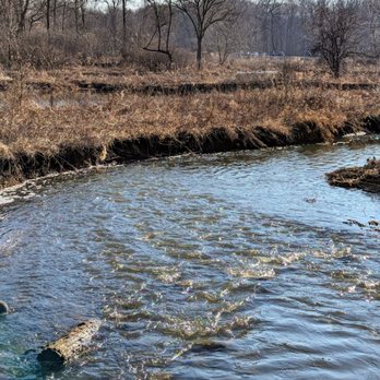 McDowell Grove Forest Preserve - Hiking Near Me