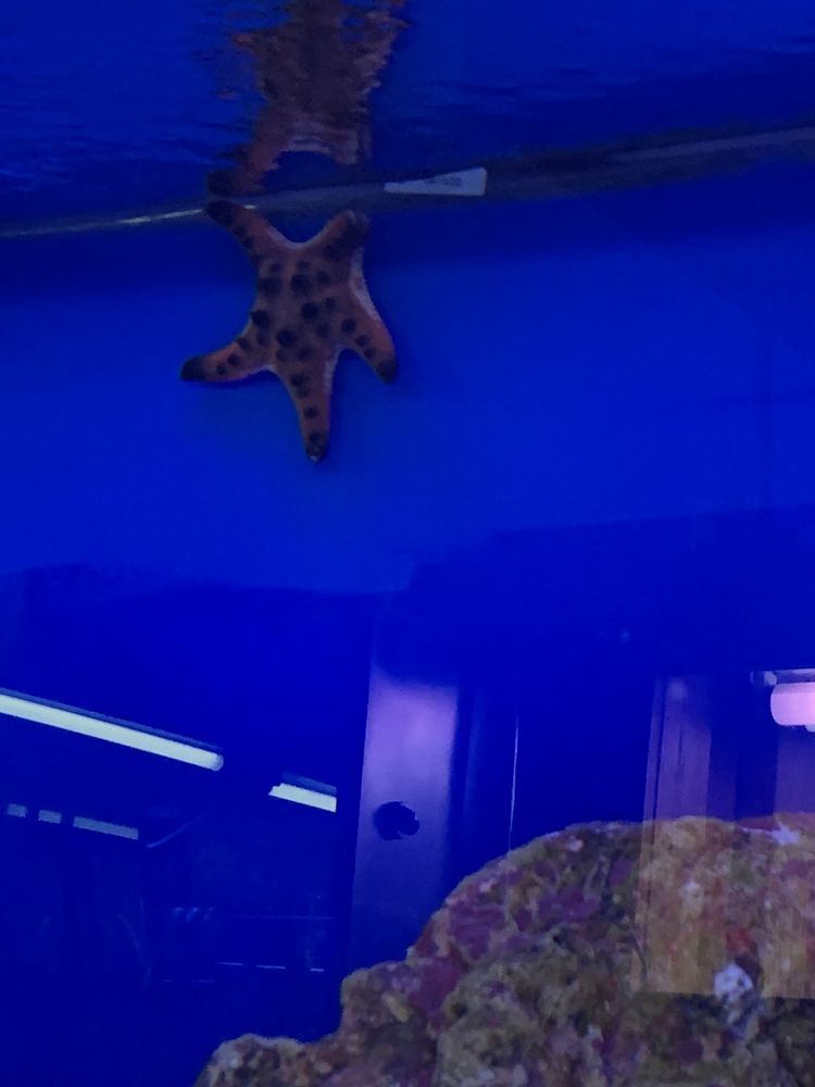 TROPICAL FISH BOWL CLOSED Updated August 2024 11 Photos 201