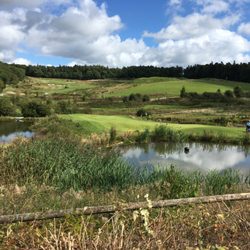 Hofgut Georgenthal - Blick auf den Golfplatz