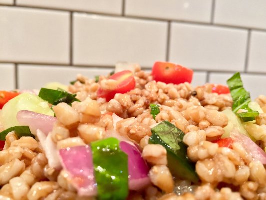 First Course Salad Kitchen by null