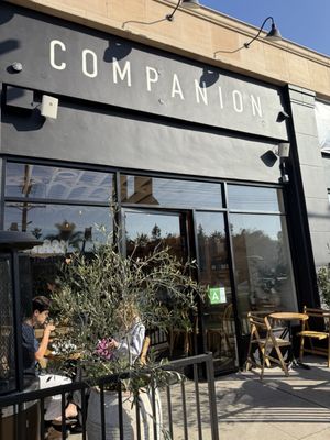 companion by null