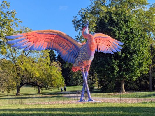 Conifer Walk by null