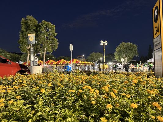 California State University Long Beach by null