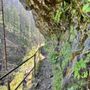 Photo of Upper McCord Creek Falls Trail