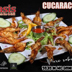 Oasis Crossroads Bar & Grill