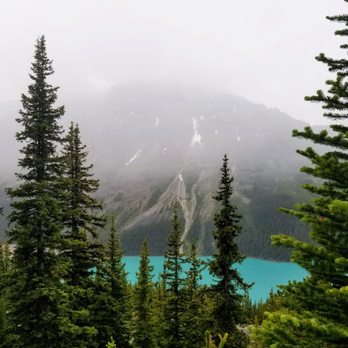 Peyto Lake - View of Peyto Lake along trail from parking lot to overlook - Lakes Near Me - Banff, Alberta Peyto Lake - View of Peyto Lake along trail from parking lot to overlook - Lakes Near Me - Banff, Alberta
