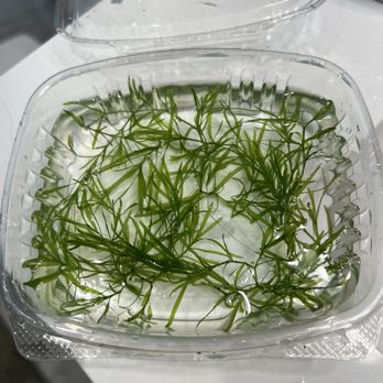 Lotus Aquarium - This is a "portion"?? - Aquarium Services Near Me - Lawndale, California Lotus Aquarium - This is a "portion"?? - Aquarium Services Near Me - Lawndale, California