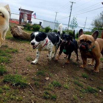 Fuzzz PlayGround - Pet Boarding Near Me - Grove City, Ohio