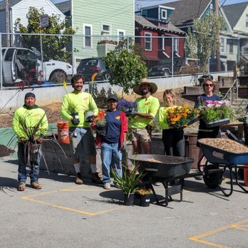 Garden Mamas - Landscaping Near Me