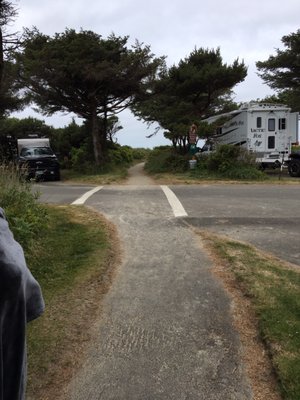 Beachside State Park by null
