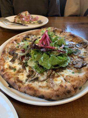 Alder Wood Bistro and Wood-Fired Pizza by null