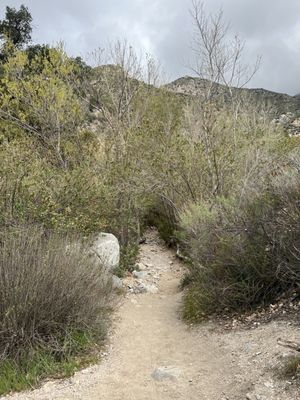 Trail Canyon Falls by null