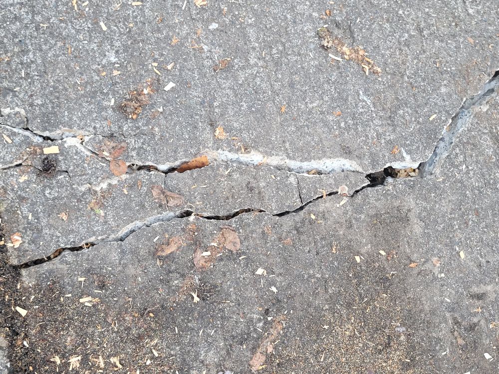 Spokane Tree Pro - tree service in Spokane Valley, WA