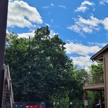 Rogue Valley Inn - Rogue Valley Inn. Sky is beautiful and I love that tree! - Hotels Near Me - Medford, Oregon Rogue Valley Inn - Rogue Valley Inn. Sky is beautiful and I love that tree! - Hotels Near Me - Medford, Oregon