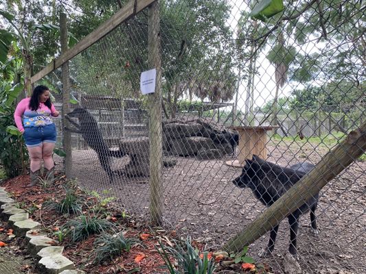 Everglades Outpost by null