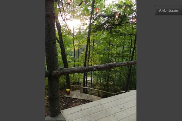 Vermont Tree Cabin by null
