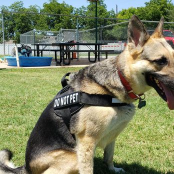 Keenum-Shelton Dog Park - Cmon.... I'm ready - Dog Parks Near Me - Lake Worth, Texas Keenum-Shelton Dog Park - Cmon.... I'm ready - Dog Parks Near Me - Lake Worth, Texas