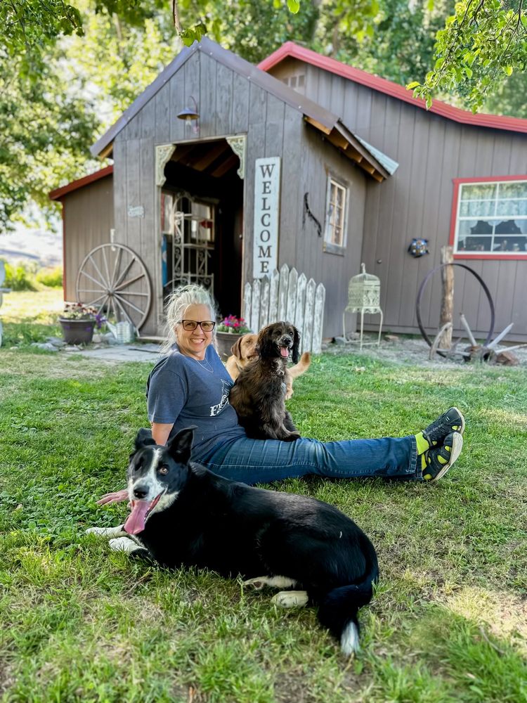 FRONTIER QUILTING Updated September 2024 211 Hwy 93 S, Salmon, Idaho Sewing & Alterations