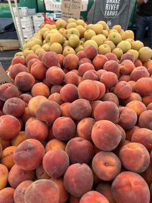 West Oakland Farmers Market by null
