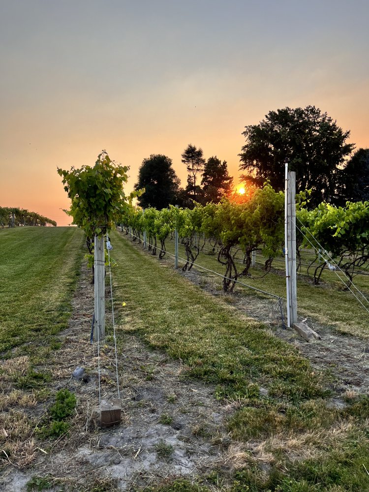 Volcanic Winery Logo
