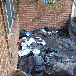 Broken all Shrubs