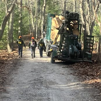 Raymond Brothers Tree Service - Tree Services Near Me - Yaphank, New York Raymond Brothers Tree Service - Tree Services Near Me - Yaphank, New York