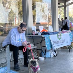 Tiny Paws Pug Rescue - Tiny Paws Pug Rescue event in Los Gatos at Pet Food Express. Such a noble cause.