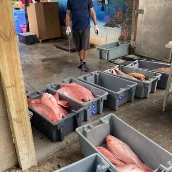 Brooks Dockside Seafood - We ended up buying a grouper she picked out and Glenn fileted it for us. - Public Markets Near Me - Inglis, Florida Brooks Dockside Seafood - We ended up buying a grouper she picked out and Glenn fileted it for us. - Public Markets Near Me - Inglis, Florida