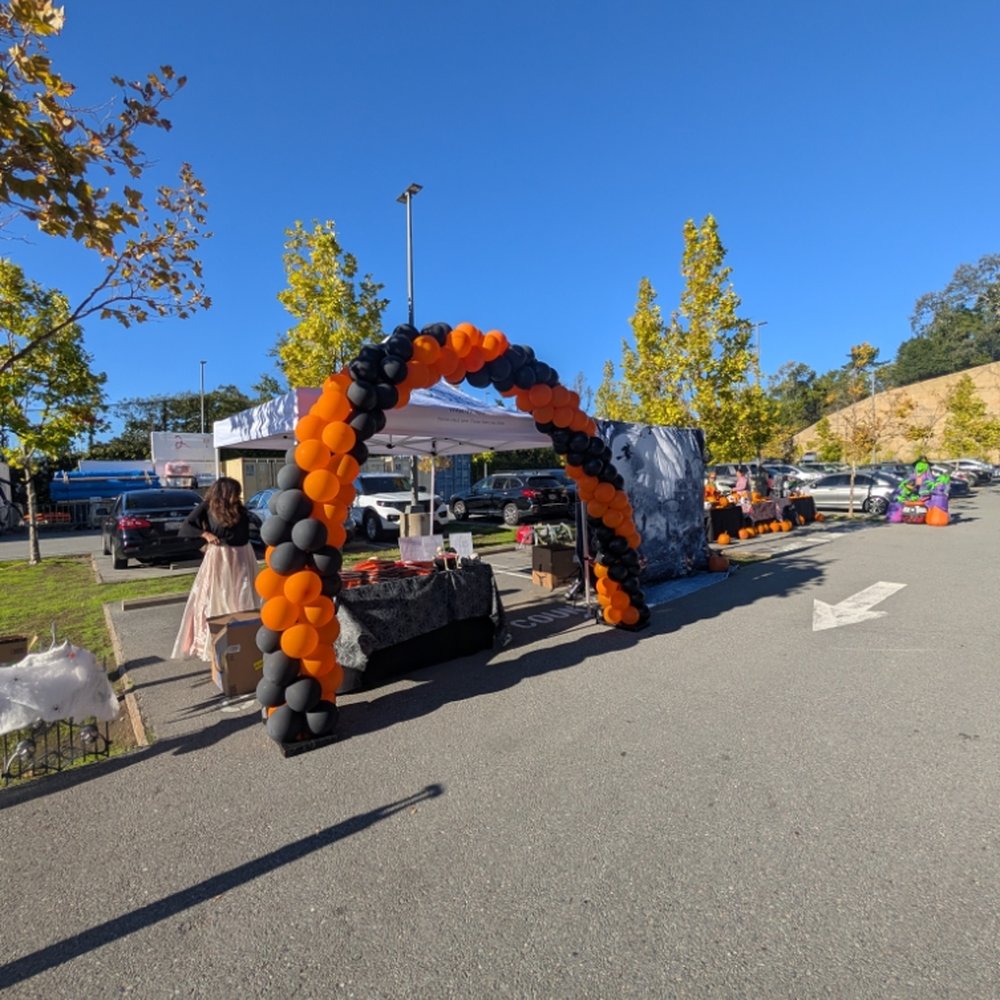 TOP 10 BEST Balloon Services in San Rafael, CA - Updated 2026 - Yelp